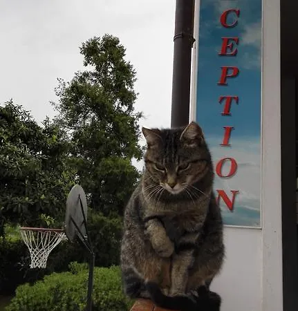 Relais Bb Pacengo 라찌제