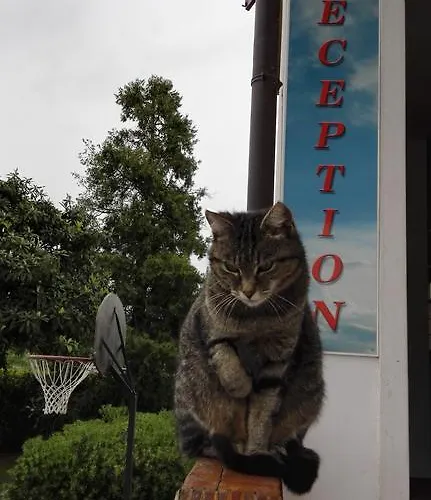 Relais Bb Pacengo Lazise